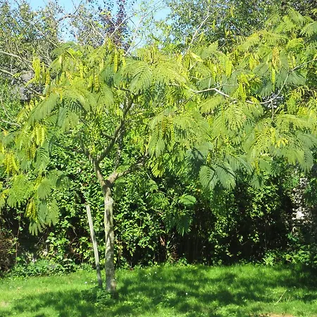 בית נופש Les Arrebourits 4 Etoiles