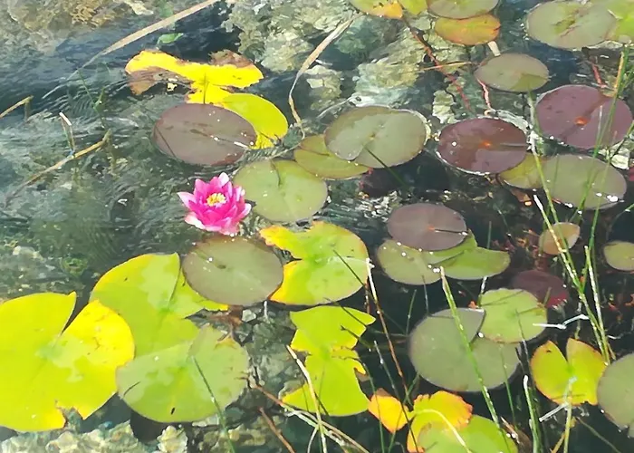 Les Arrebourits 4 Etoiles Hébergement de vacances *