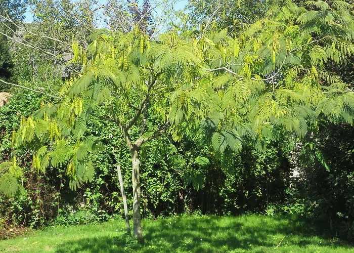 Hébergement de vacances Les Arrebourits 4 Etoiles