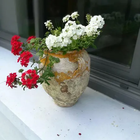 Les Arrebourits 4 Etoiles 別荘 *