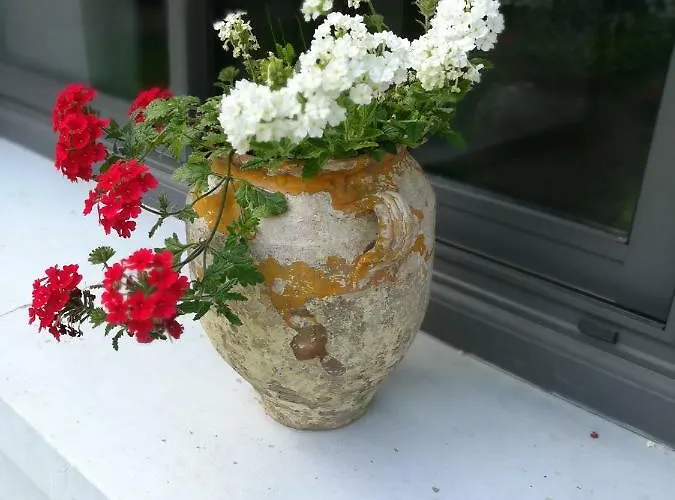 Les Arrebourits 4 Etoiles Casa de Férias *